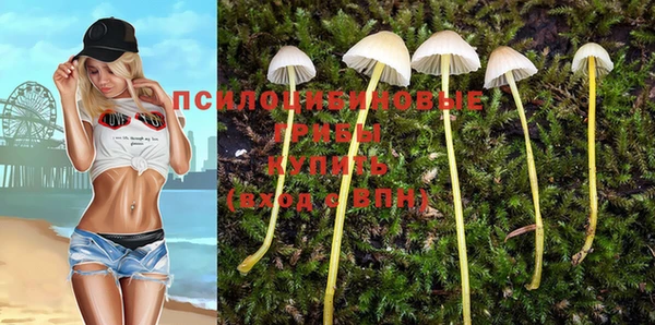 каннабис Алзамай
