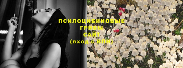 гашик Абинск
