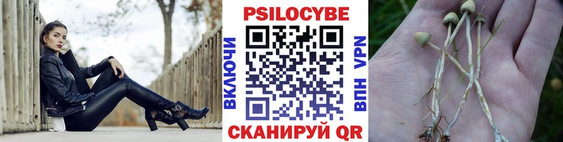 Галлюциногенные грибы MAGIC MUSHROOMS площадка телеграм Алексеевка