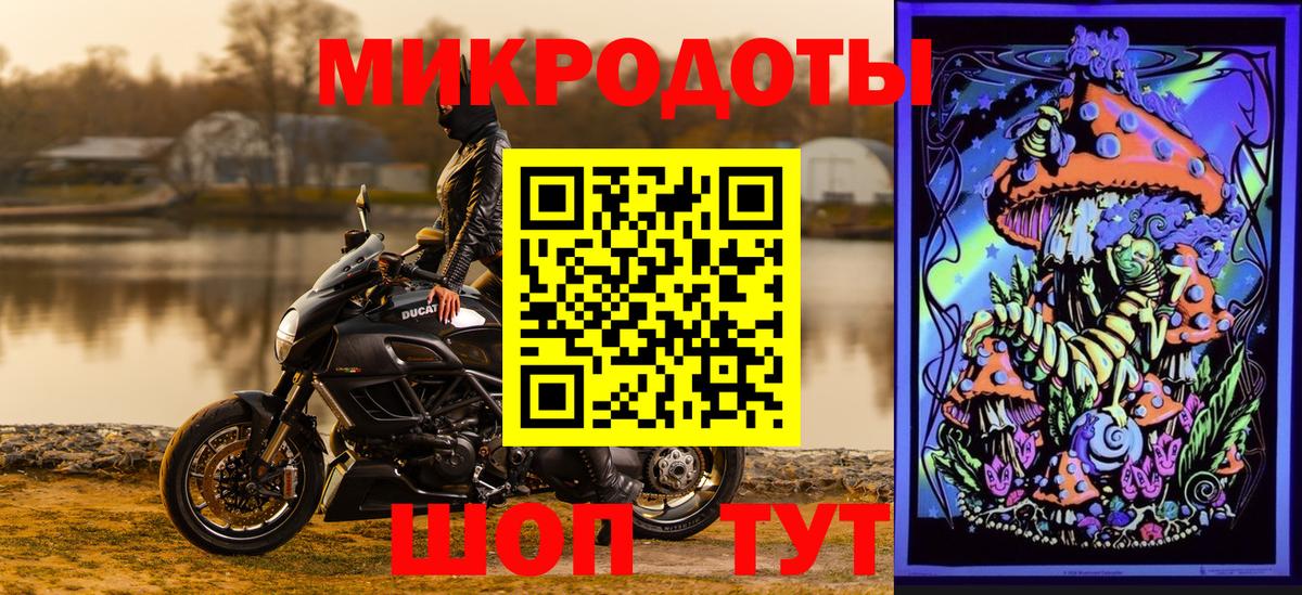 Алексеевка  Псилоцибиновые грибы Psilocybe  Вход с VPN 